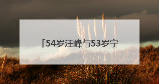 54岁汪峰与53岁宁静传绯闻，汪峰晒34岁正牌女友合照辟谣