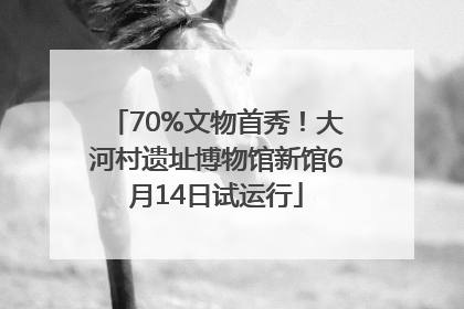 70%文物首秀！大河村遗址博物馆新馆6月14日试运行