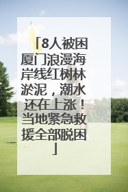 8人被困厦门浪漫海岸线红树林淤泥，潮水还在上涨！当地紧急救援全部脱困