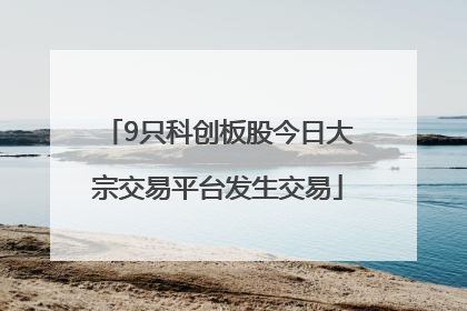 9只科创板股今日大宗交易平台发生交易