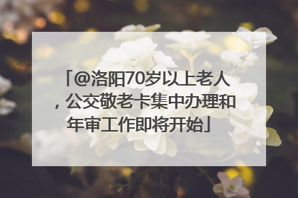@洛阳70岁以上老人，公交敬老卡集中办理和年审工作即将开始
