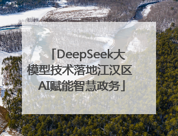 DeepSeek大模型技术落地江汉区 AI赋能智慧政务